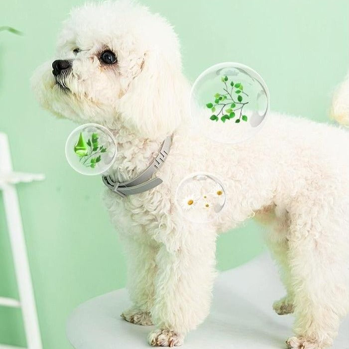 Anti-insects Multi-Cat and Multi-Dog Collars