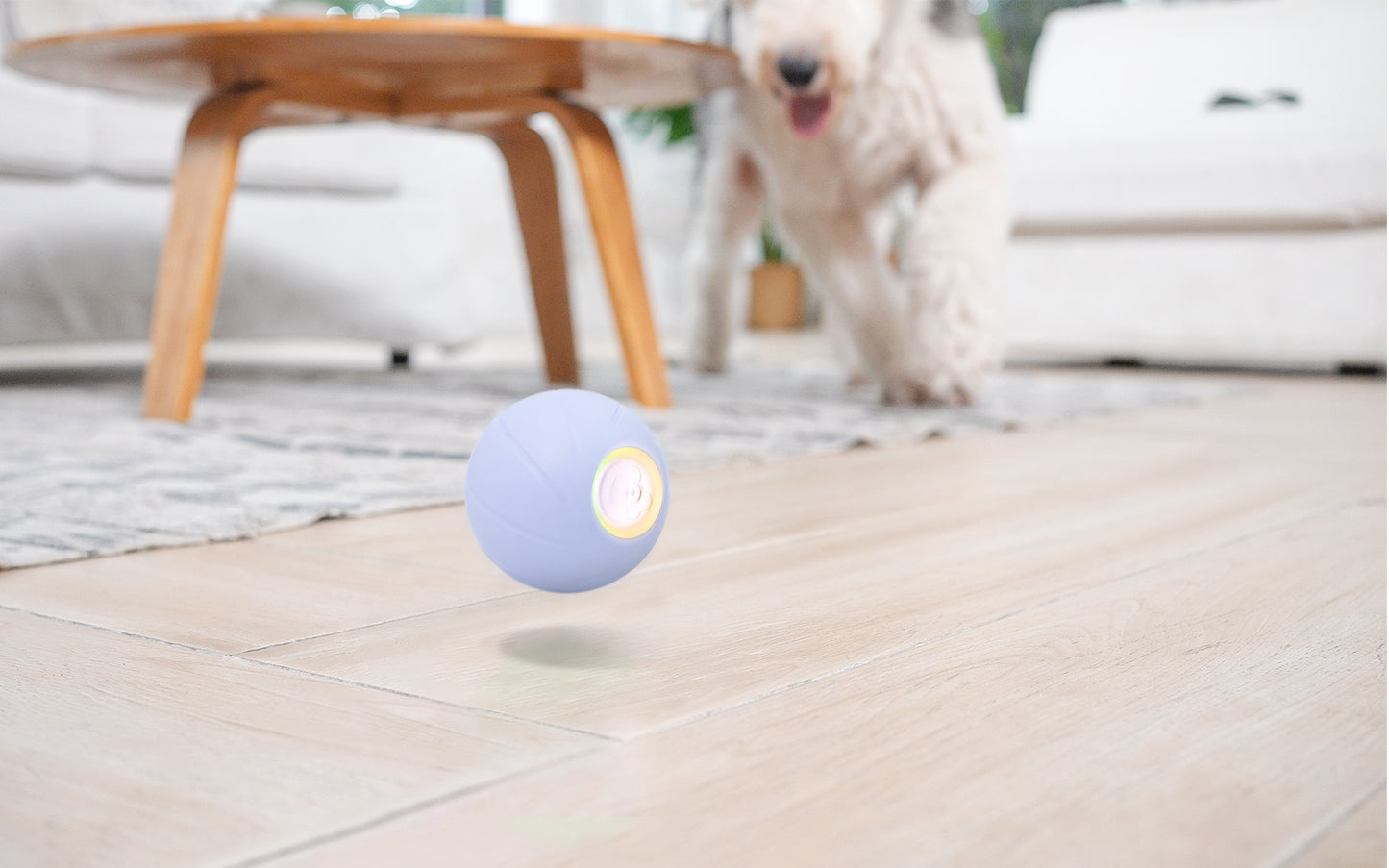 Cheerble Intelligent Interactive Dog Toy Ball 3 Modes Rechargeable Wicked Ball PE