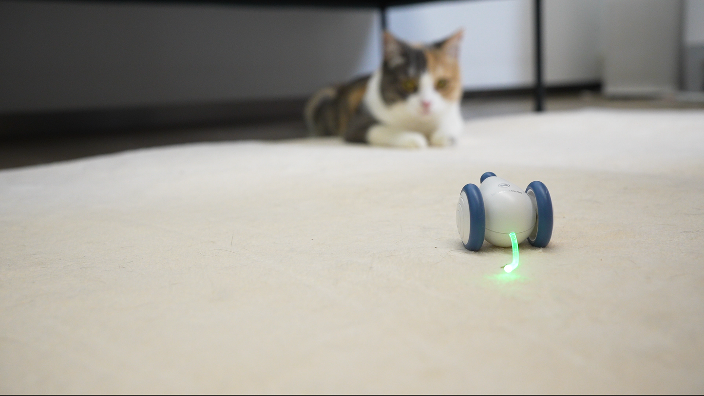 Cheerble Wicked Mouse Endless Fun For Cat