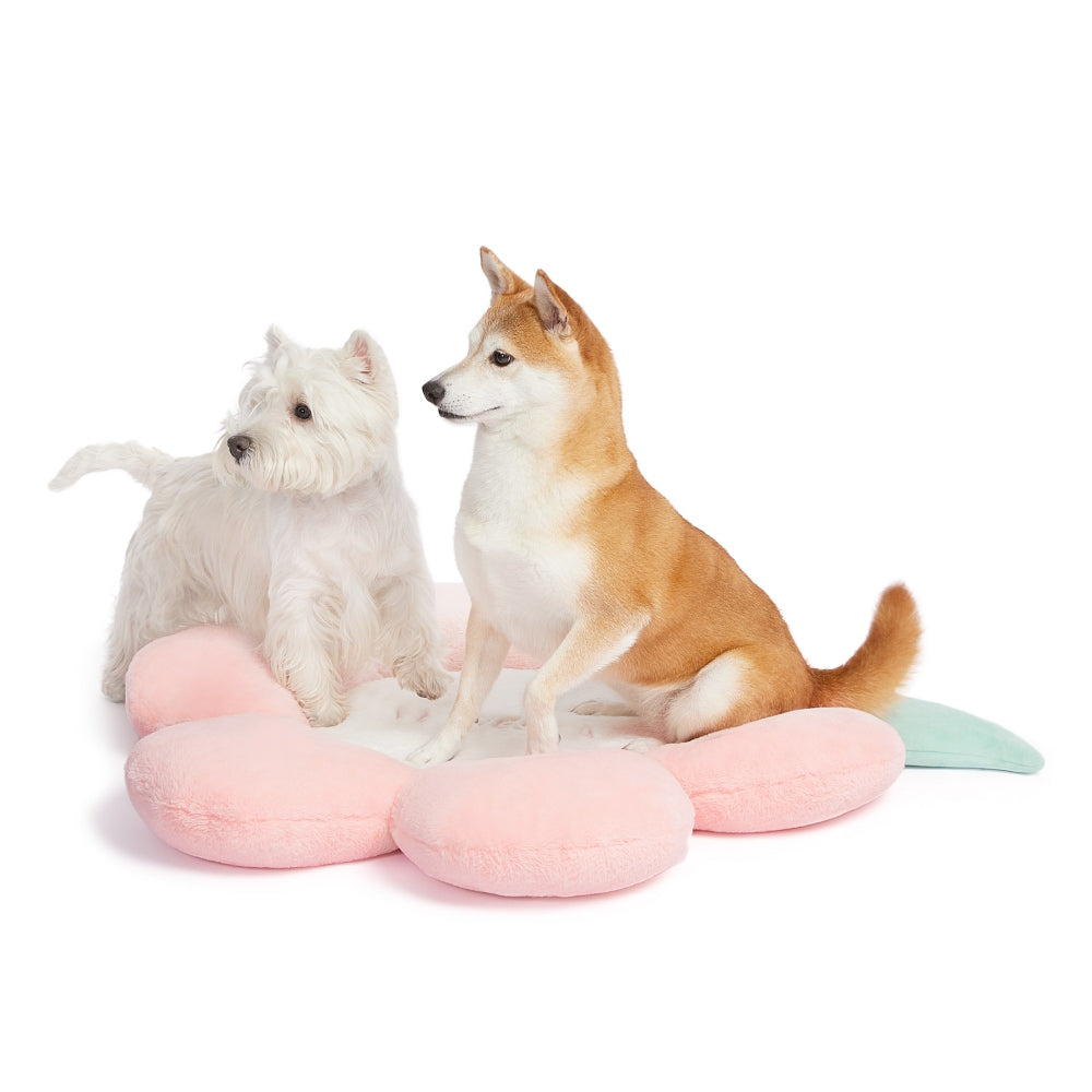 VETRESKA Dog Bed with Removable Washable Bed Cover for Dogs