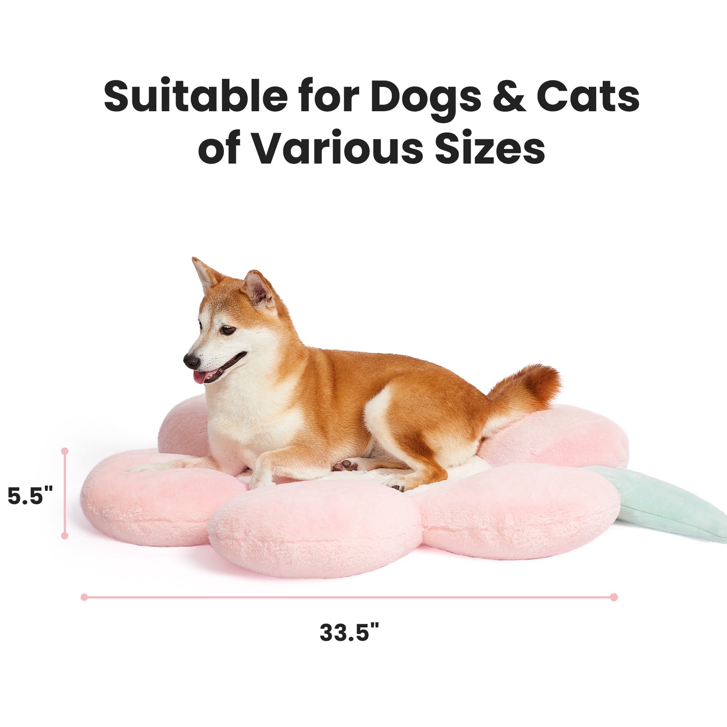 VETRESKA Dog Bed with Removable Washable Bed Cover for Dogs