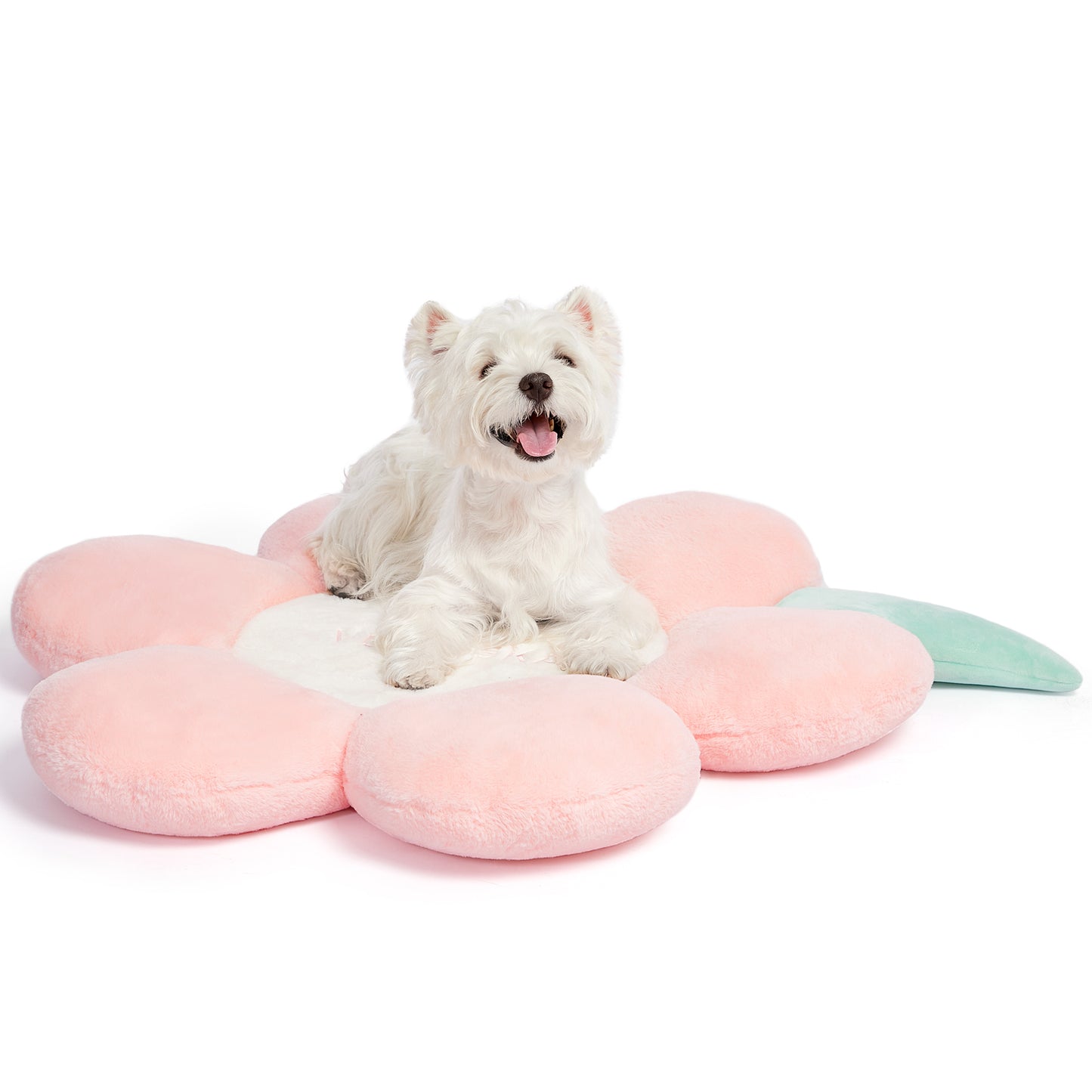 VETRESKA Dog Bed with Removable Washable Bed Cover for Dogs