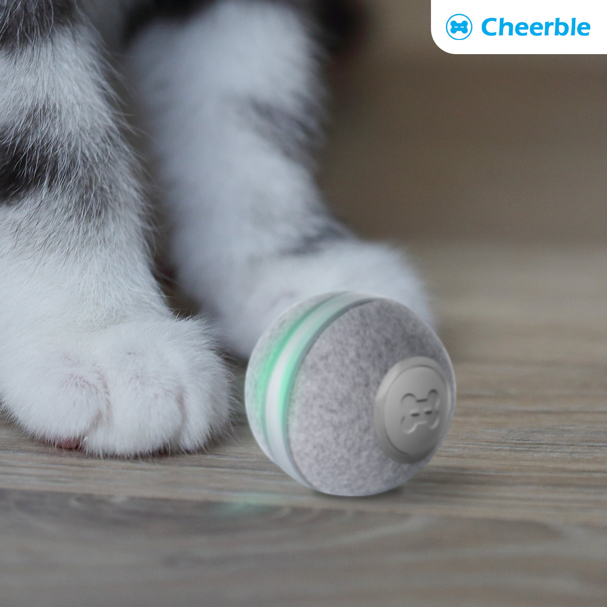 Cheerble Smart Interactive Automatic Moving Cat Toy Ball with Lights and Bell (Ball M1)