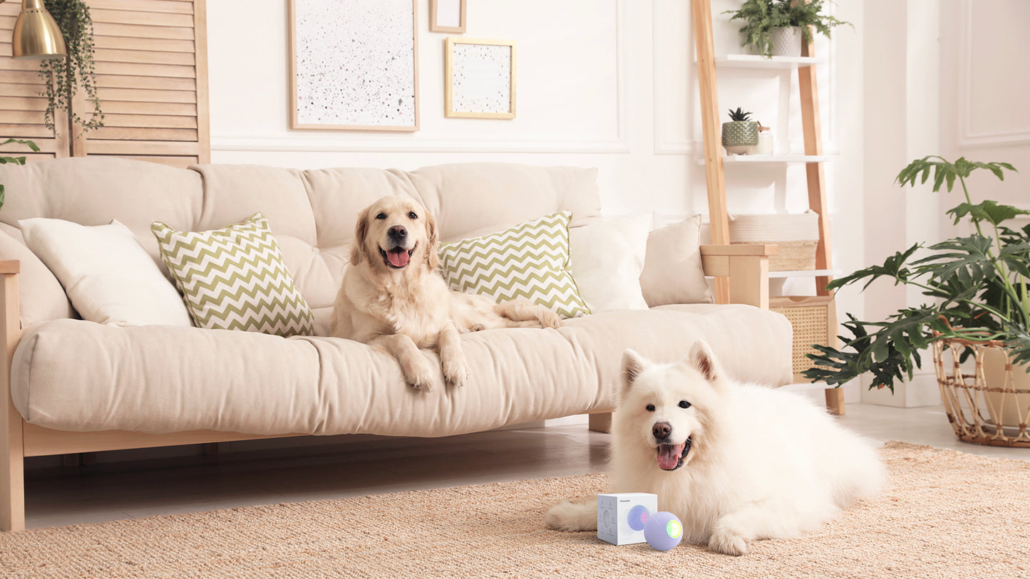 Cheerble Intelligent Interactive Dog Toy Ball 3 Modes Rechargeable Wicked Ball PE