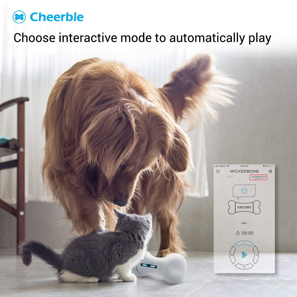 Cheerble Interactive Automatic Ball Smart Robotic Indoor Pet Toy Ball -  DVPets